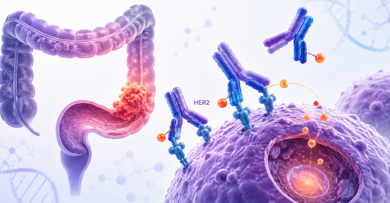 The therapeutic potential of antibody-drug conjugates in advanced colorectal cancer: a systematic review and meta-analysis